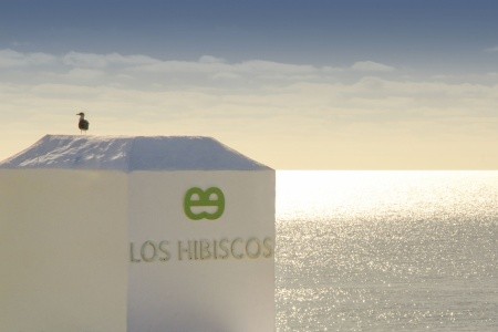 Ereza Apartamentos Los Hibiscos