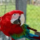 Zoopark Statek u Merlina