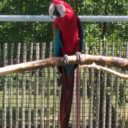 Zoopark Statek u Merlina