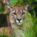 Zoopark Statek u Merlina