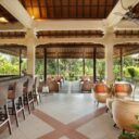 Bali Tropic