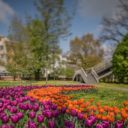 Výstaviště Flora Olomouc