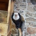 Zoopark Statek u Merlina