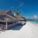 Malahini Kuda Bandos