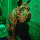 Muzeum strašidel v samém centru města Plzně