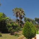 Vantaris Garden
