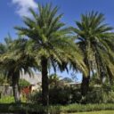 Maradiva Villas Resort & Spa