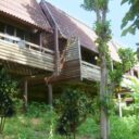 Phi Phi Natural Resort