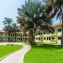 Flamingo Beach Resort