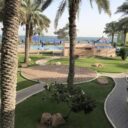 Flamingo Beach Resort