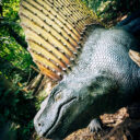 DinoPark a ZooPark spojený vláčkem? Vydejte se do Vyškova!