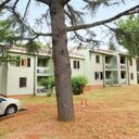 Apartments Polynesia Plava Laguna