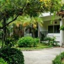 Sunshine Garden