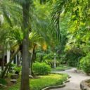 Sunshine Garden