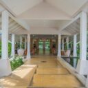 Sunshine Garden