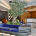 Local (Al Barsha)