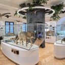 Foto: ©Vlastivědné muzeum Jesenicka