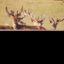 Foto: © Zámek Nové Hrady u Litomyšle