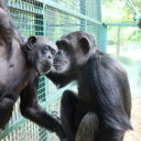 Foto: © Zoo Hodonín