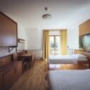 Forest Hotel Videc (Hocko Pohorje)