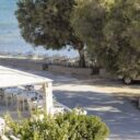 Galatis