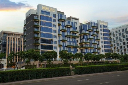 Mileo The Palm
